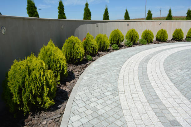 Best Driveway Paving Contractor  in Rossville, KS